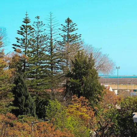 Alameda Garden Πανσιόν