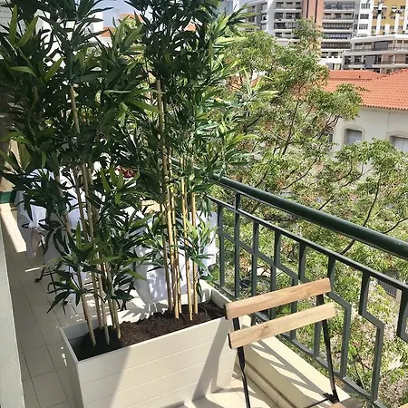 Alameda Garden